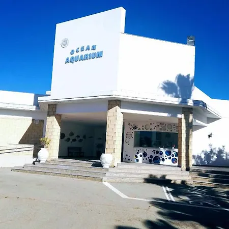 Sunny * Πρωταράς