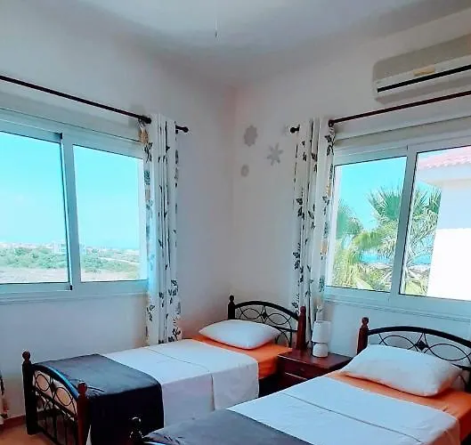 Sunny * פרוטאראס