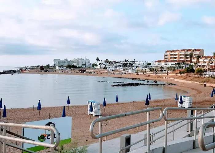 Sunny פרוטאראס